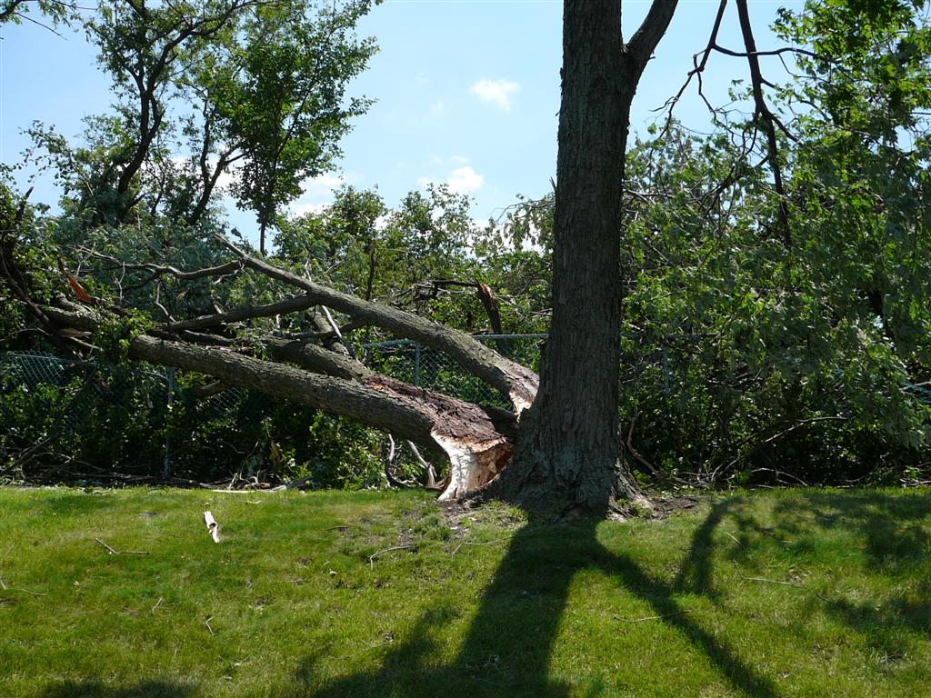 Oak Brook Storm Damage