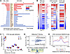 Liver transcriptomic and epigenomic changes.