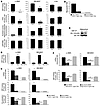 KLF4 promotes loss of SRF binding and H4Ac at α-SMA and SM-MHC.