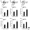 STXBP5 inhibits endothelial exocytosis in vitro.