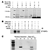 STXBP5 is present in human platelets.