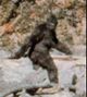 BigFoot.jpg