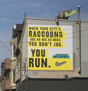 nike_-_raccoon_720