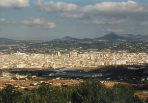 Blick auf Manacor