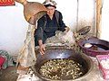 Uyghur woman at a silk factory, Khotan