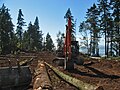 Logging operation at Prospect Point, the area most damaged by the 2006 windstorm.