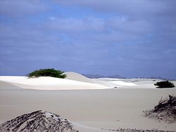 Il deserto Viana