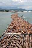 Vlotterij: via een rivier drijven de stammen stroomafwaarts, Vancouver