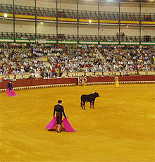 Novillada-2007.jpg