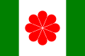 Proposta de bandera per Taiwan.