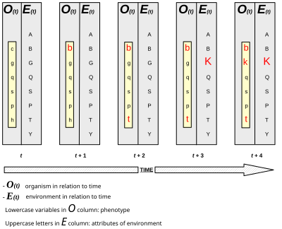 Niche Construction in Evolutionary Time.