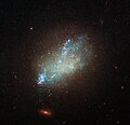 IC 559 es una galaxia tipo Sm.[15]​