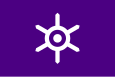 Bandyera de Tokio טוקיו 東京都