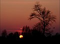 Zonsondergang in Noord-Brabant (winter)