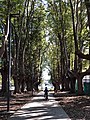 Petersham Park Pathway