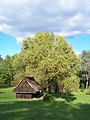 Hornoslezský etnografický park