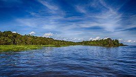 Nationaal park Amazônia