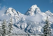 A mountain range covered in snow, with several pine trees in the foreground.