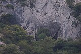 Cueva de les Covalana.