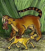 Thylacosmilus (Marsupial del Plioceno)