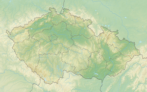 Biathlon-Weltmeisterschaften 2024 (Tschechien)