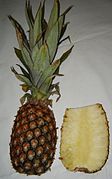 Ananas (pineapple) infructescence