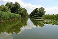 Danube Biosphere Reserve