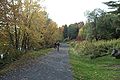 The Nashwaak River Trail