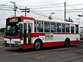 十和田観光電鉄 キュービック（前後扉仕様） P-LV314K