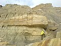 Image 46A geologist studies the Ashdown Formation on the East Sussex coast (from Geology of East Sussex)