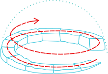 An igloo's snowbrick laying method