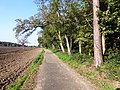 Brühlweg am Sandbuckel (Blickrichtung Sandhausen)