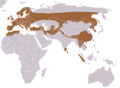 Aire de répartition de la Loutre d'Europe