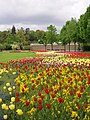 Außenanlagen Frühling 2009