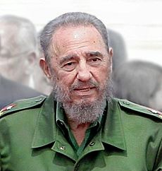 Fidel Castro, 2003