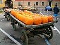 Fiera Regionale della Zucca di ottobre