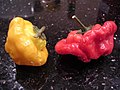 Scotch Bonnet