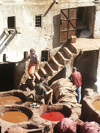 Dyeing in Fes, Morocco