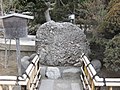 さざれ石 （鶴岡八幡宮）