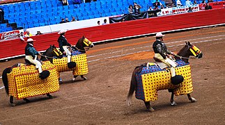 Cavalls amb el peto inventant per Jacques Heyral el 1927 a la Plaça de toros de Nîmes