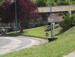 Skyline of Saulxures-lès-Vannes