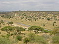 D Savanna in n Tarangire-Nazionolpark.