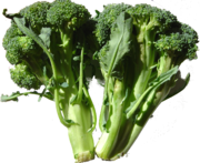 Broccoli