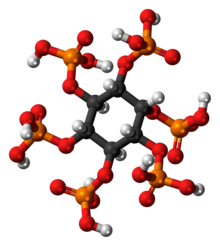 Ball-and-stick model of phytic acid