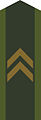 Schweden Schweden Korpral, OR-4, Heer