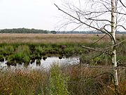 Wierdense Veld (Westerveenweg)