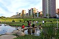 Bishan Park