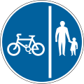 Segregated track and path for pedal cycles and pedestrians only