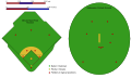 Cricket- och baseballplan