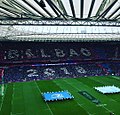 Finale im European Rugby Champions Cup 2017/18